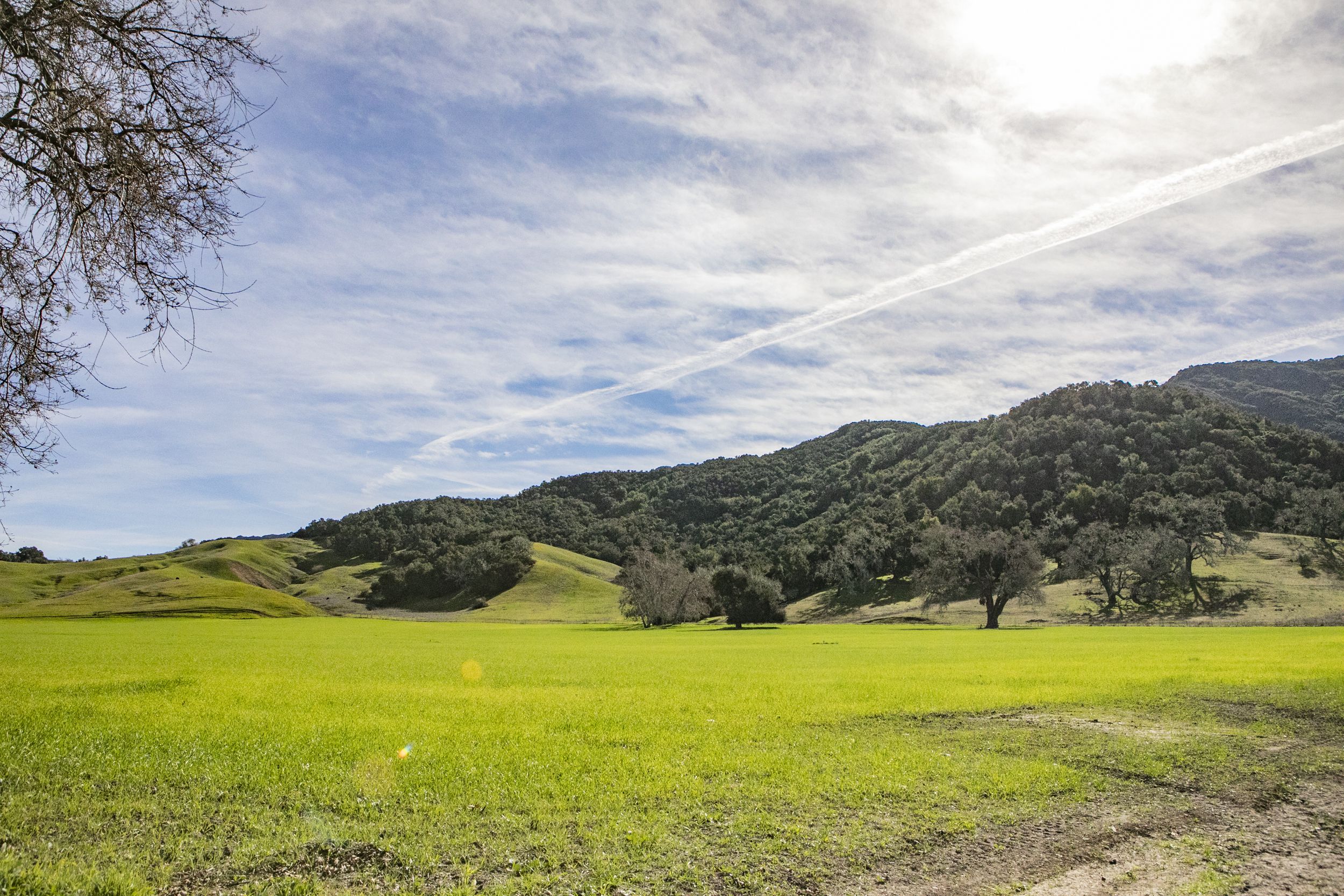 A green grass covered meadow with tree-covered hills in the background